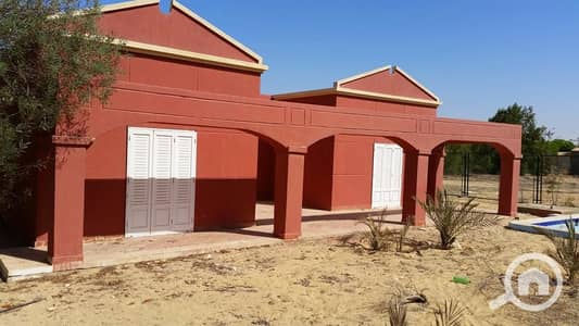 4 Bedroom Villa for Rent in 6th of October, Giza - WhatsApp Image 2025-07-10 at 7.27. 29 PM (2). jpeg