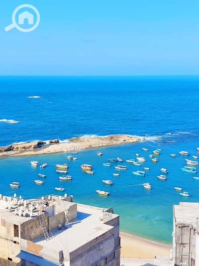 استوديو  للبيع في ميامي، الإسكندرية - 554935481_24765406376409787_694869690910921341_n. jpg