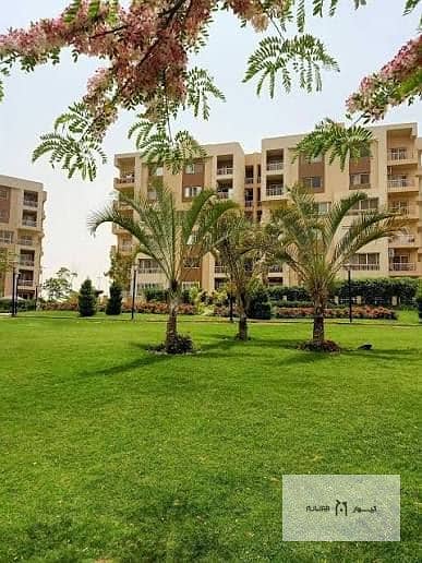 1 Bedroom Apartment for Sale in Madinaty, Cairo - WhatsApp Image 2025-09-27 at 8.43. 51 PM. jpeg