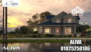 7 تنزيل (14). jpg