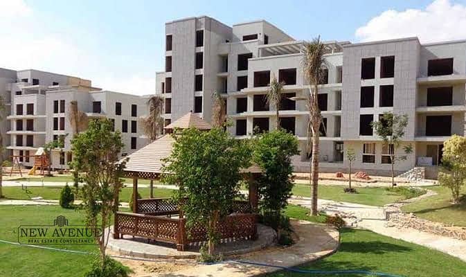 3 WhatsApp Image 2025-09-25 at 4.39. 00 PM (2). jpeg