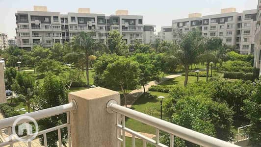 3 Bedroom Flat for Rent in Madinaty, Cairo - 1000279896. jpg
