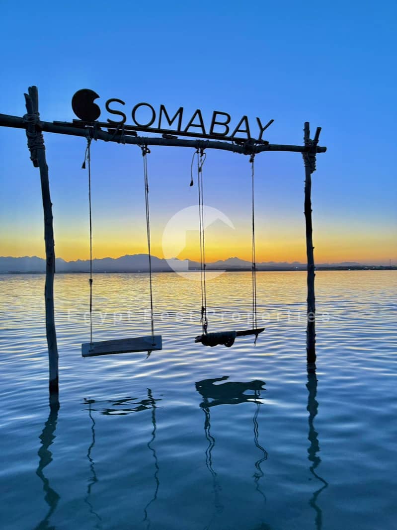 2 SOMA10. jpg