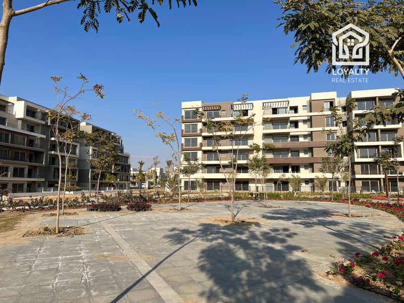 IMG_3906. JPG IMG_3906. JPG