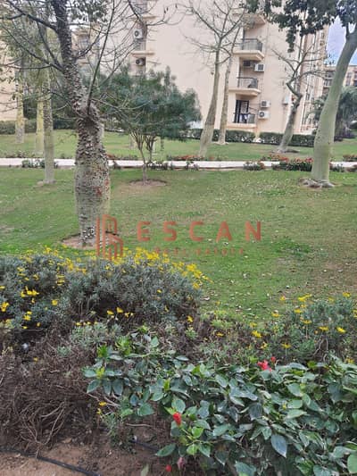 فلیٹ 2 غرفة نوم للايجار في القاهرة الجديدة، القاهرة - IMG-20250928-WA0144. jpg