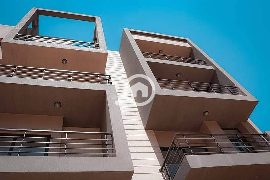 8 321029513_6576109942417848_3115619222962144989_n. jpg