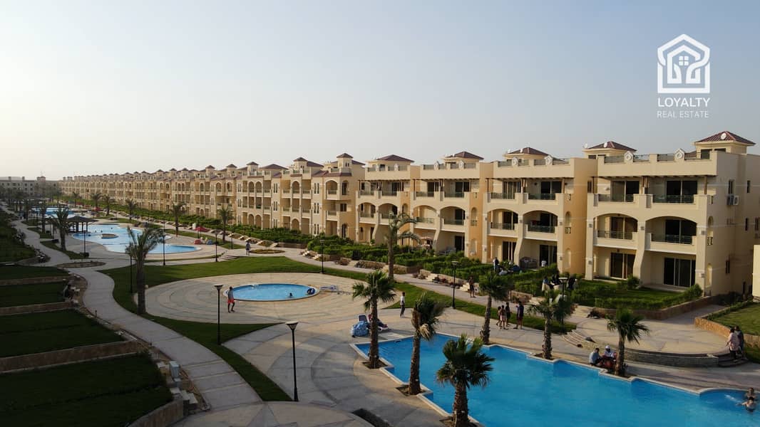 2 Palm 2022 (17). jpg