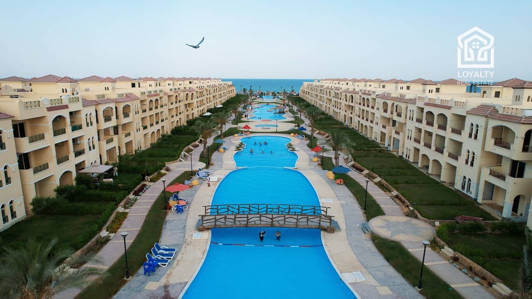 7 Palm 2022 (40). jpg