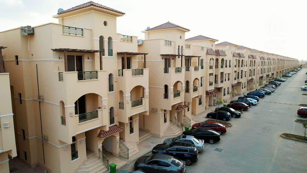 8 Palm 2022 (42). jpg