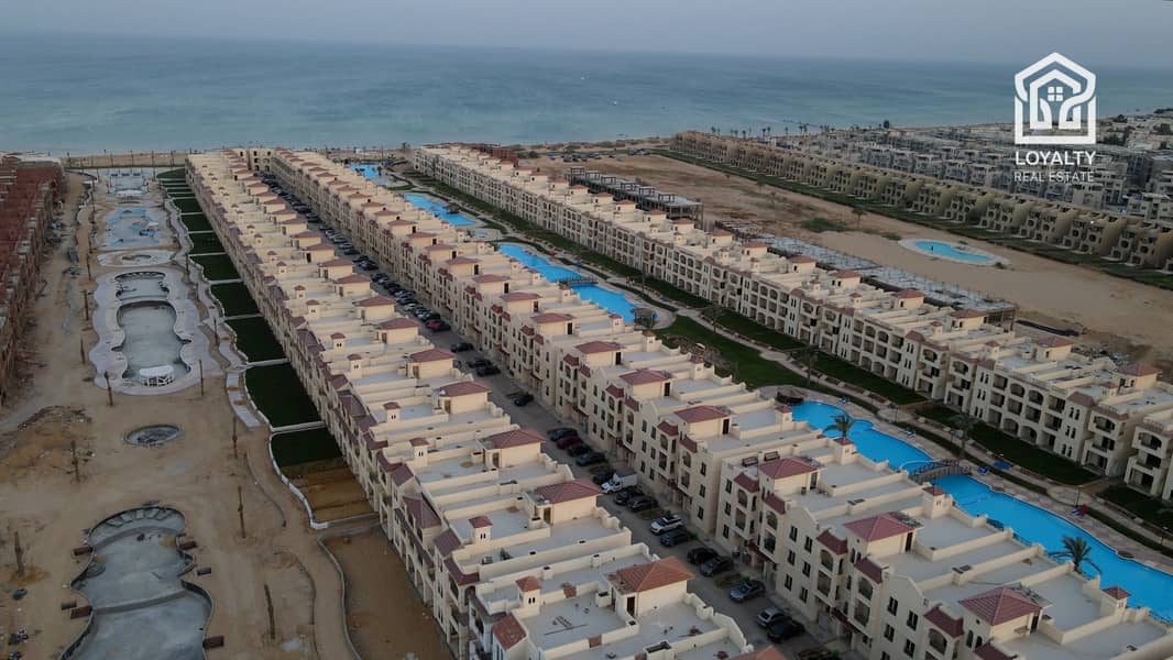 9 Palm 2022 (19). jpg