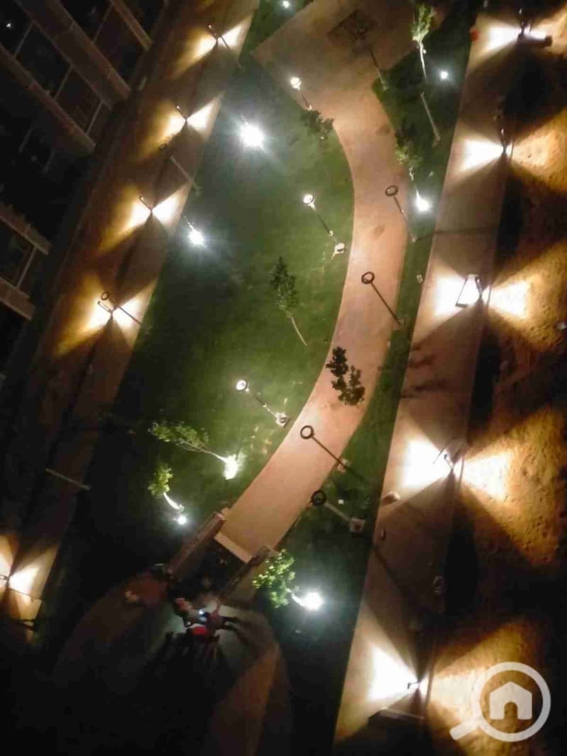 11 1000086117. jpg
