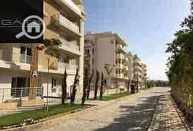16 IMG_8699. jpg
