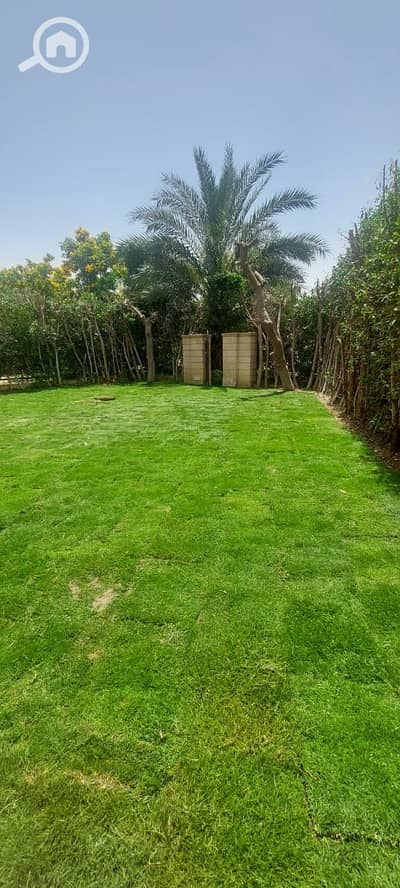 4 Bedroom Villa for Sale in Madinaty, Cairo - WhatsApp Image 2025-09-28 at 22.05. 49_78846b49. jpg