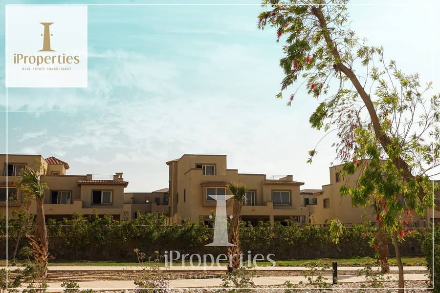 8 DSC05077 copy. jpg