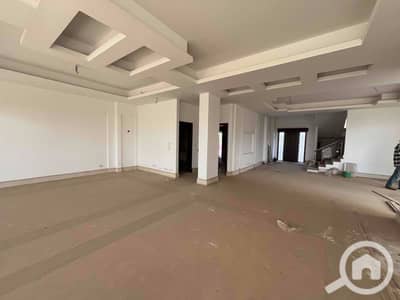 5 Bedroom Villa for Sale in Nasr City, Cairo - IMG_8083. jpg