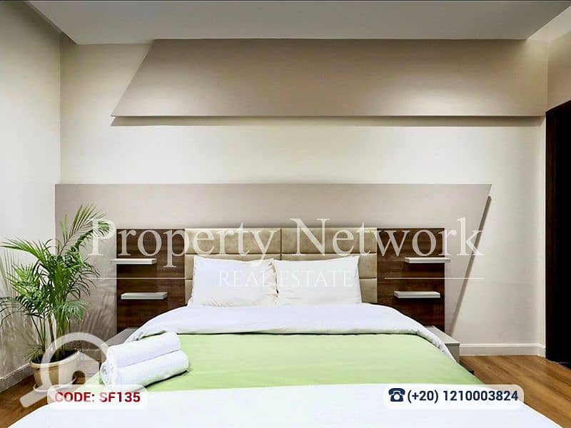 12 SF135 (12). png