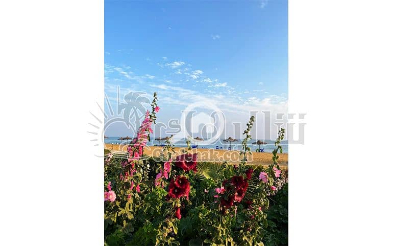11 شالية-للبيع-قرية-كورونادو-العين-السخنة-chalet-for-sale-coronado-resort-ain-sokhna- (4). JPG