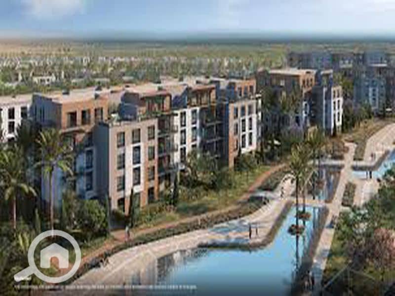 8 images (2)_800x600 (1). jpg