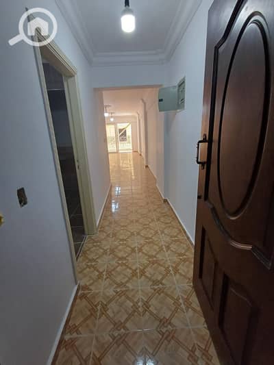 3 Bedroom Flat for Sale in Smoha, Alexandria - 2fb1e7f8-62a1-4f8a-82c9-e66b31a418f0. jpg