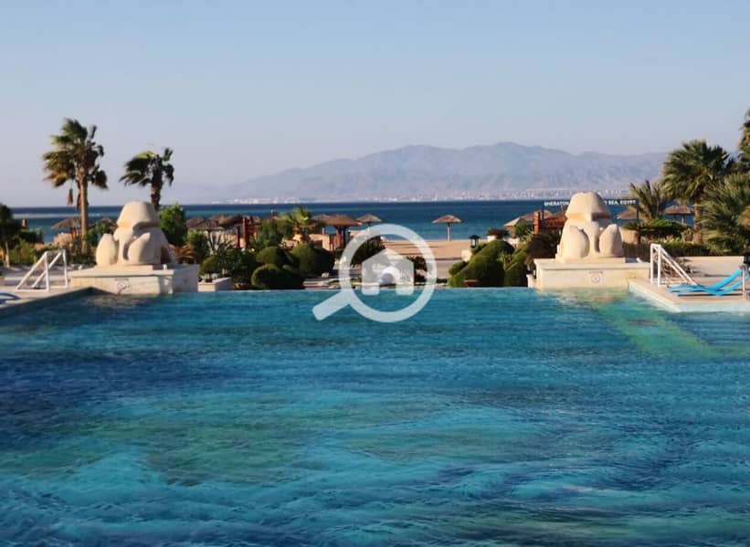 3 60dc86ea-12f3-4f65-ba2d-d9797867a1d1. jpeg