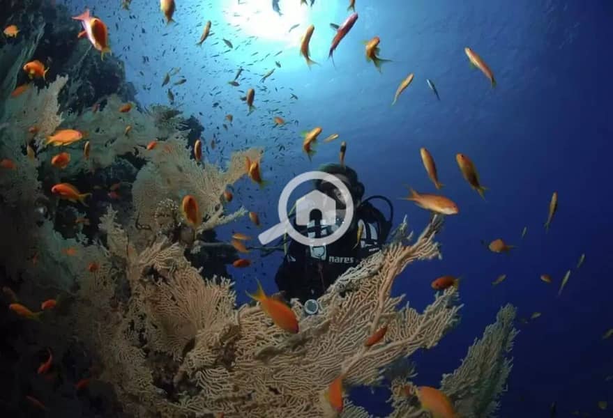 11 IMG-20240929-WA0196. jpg