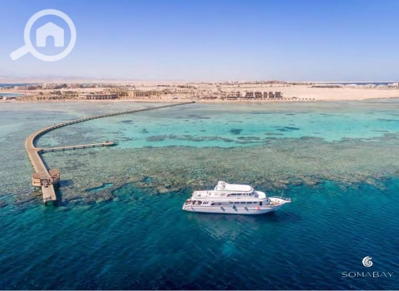 13 Screenshot_27-2-2024_144714_. jpeg