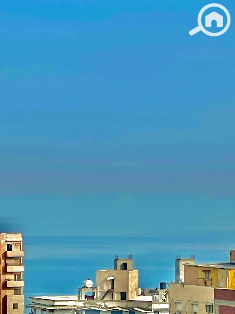 df04265d-c9b0-43a0-9606-7ec4e508a3ff. jpeg