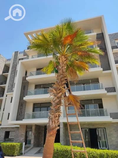 2 Bedroom Apartment for Sale in Mostakbal City, Cairo - 400132636_24038489619132935_2529984939178154462_n. jpg