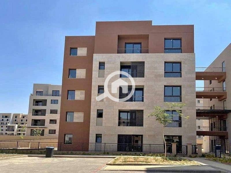 4 335064122_253163917039653_1913843289763213593_n. jpg