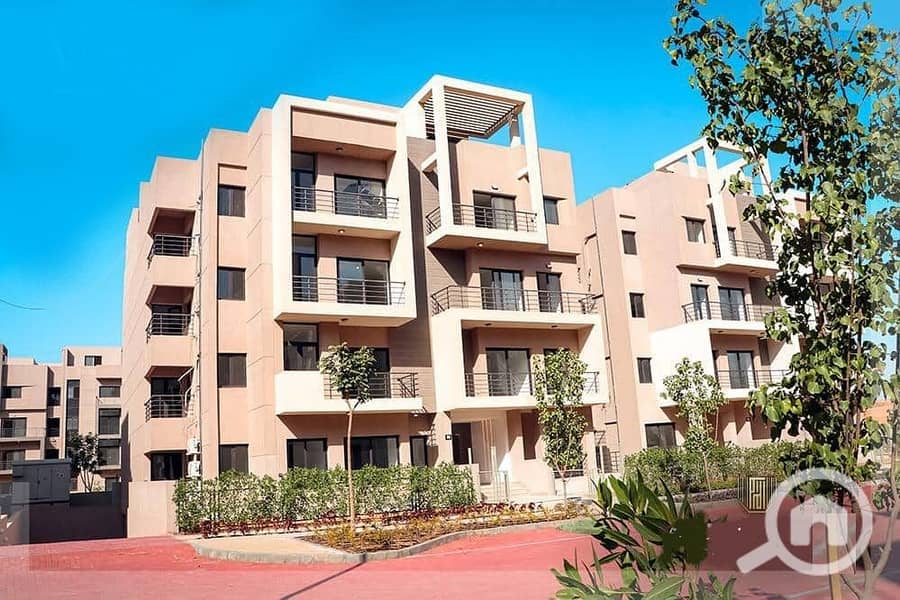 3 344579311_190847680533665_1725257731228215223_n. jpg