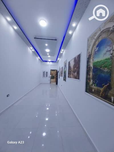 شقة 1 غرفة نوم للبيع في النخيل، الإسكندرية - شقه ارضي غرفه وحمام ومطبخ النخيل اكتوبر