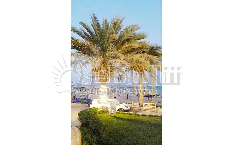 9 شاليه-للبيع-منتجع-لاسيرينا-مينى-إيجيبت-السويس-chalet-for-sale-laserina-mini-egypt-suez- (19). JPG