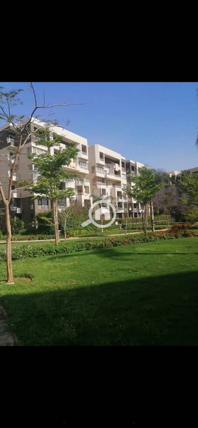2 Bedroom Apartment for Rent in Madinaty, Cairo - IMG_7036. png