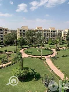 2 42055476-240x180. jpeg