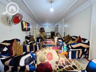 3 Bedroom Apartment for Sale in Smoha, Alexandria - WhatsApp Image 2025-09-29 at 3.57. 09 PM. jpeg