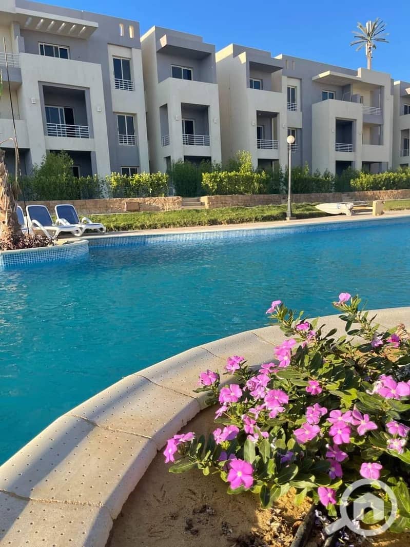 2 WhatsApp Image 2025-06-05 at 14.46. 48 (4). jpeg