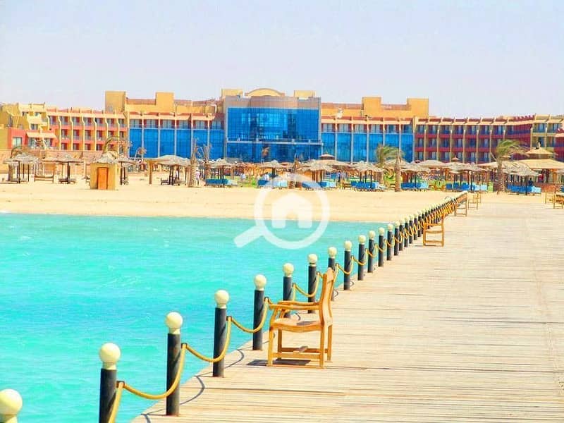 3 WhatsApp Image 2025-06-05 at 14.46. 45 (1). jpeg