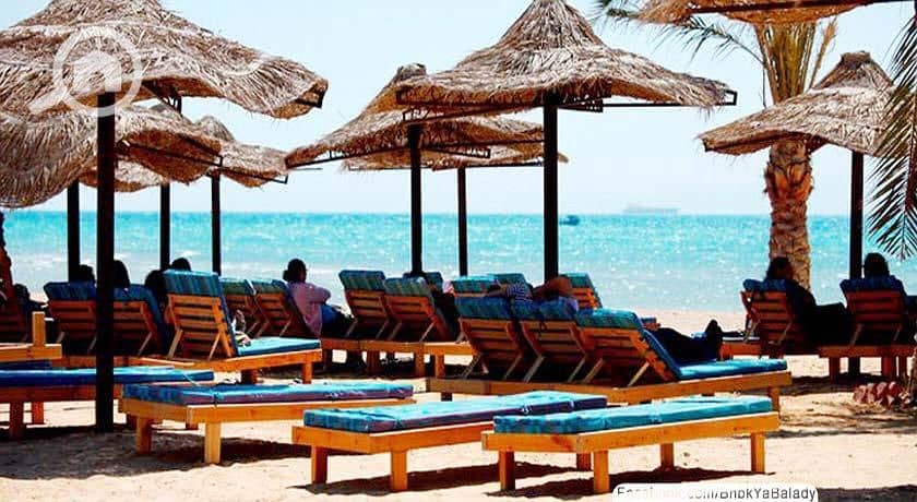 5 WhatsApp Image 2025-06-05 at 14.46. 45. jpeg