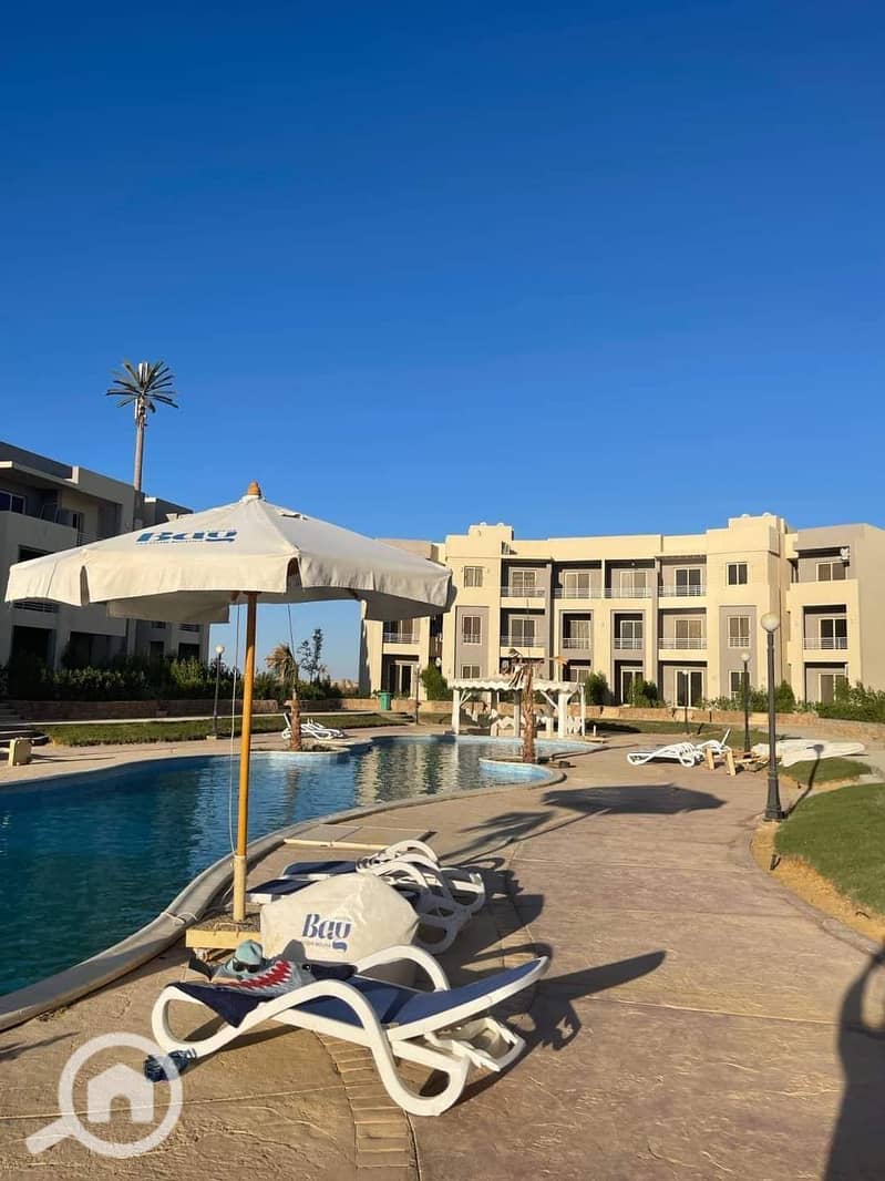 6 WhatsApp Image 2025-06-05 at 14.46. 48 (3). jpeg