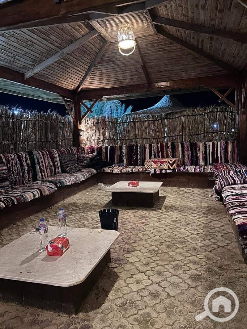 7 WhatsApp Image 2025-06-05 at 14.46. 48 (5). jpeg