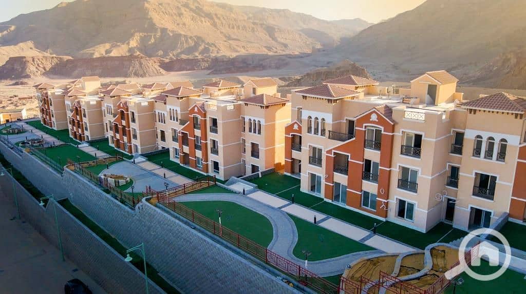 4 WhatsApp Image 2025-06-30 at 01.54. 35. jpeg