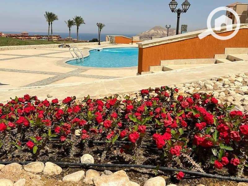 6 WhatsApp Image 2025-06-12 at 00.53. 55 (1). jpeg