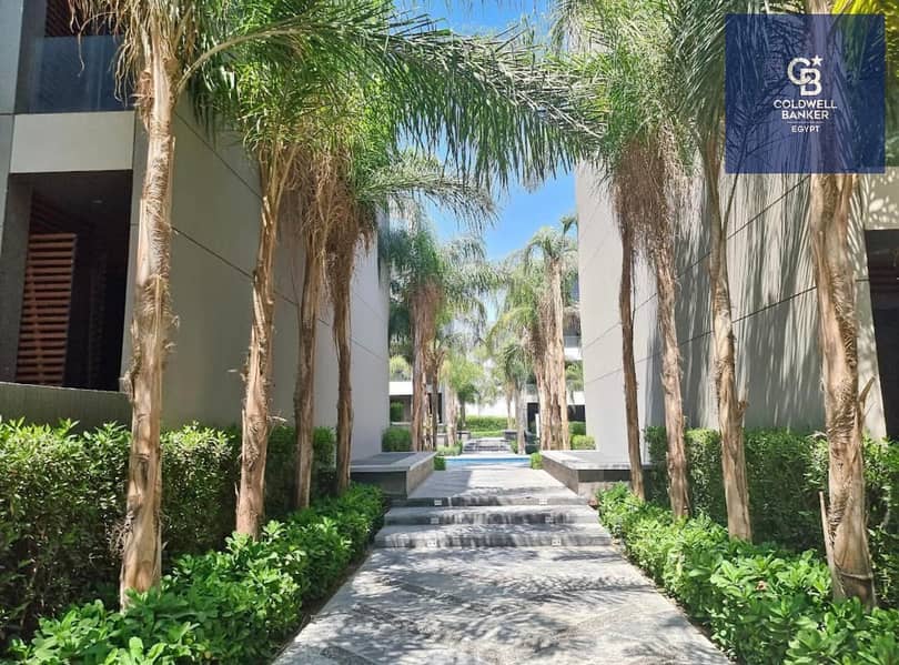 9 485872564_3762480177375950_367959482373126545_n. jpg