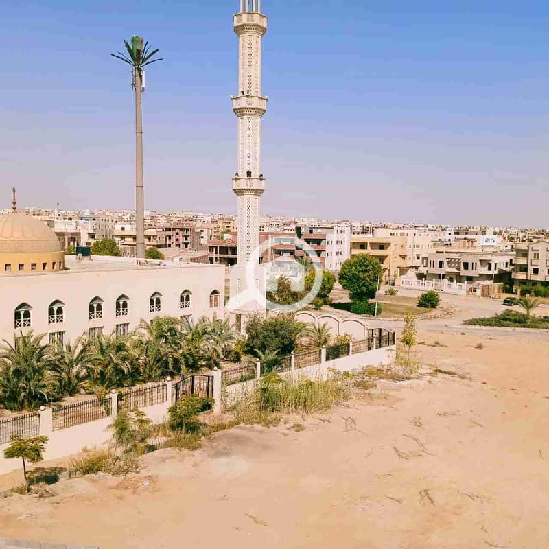 2 16699. jpg