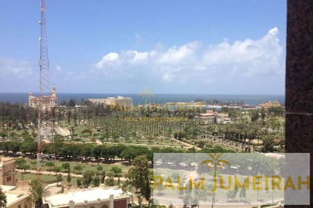 فلیٹ 3 غرف نوم للايجار في المنتزه، الإسكندرية - -. png