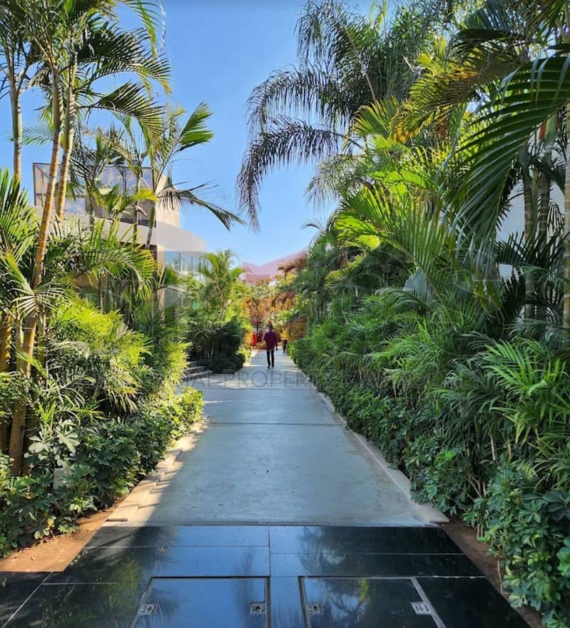 2 c6e65b0e-4e9d-4820-ac2d-2e910d83396c. jpg