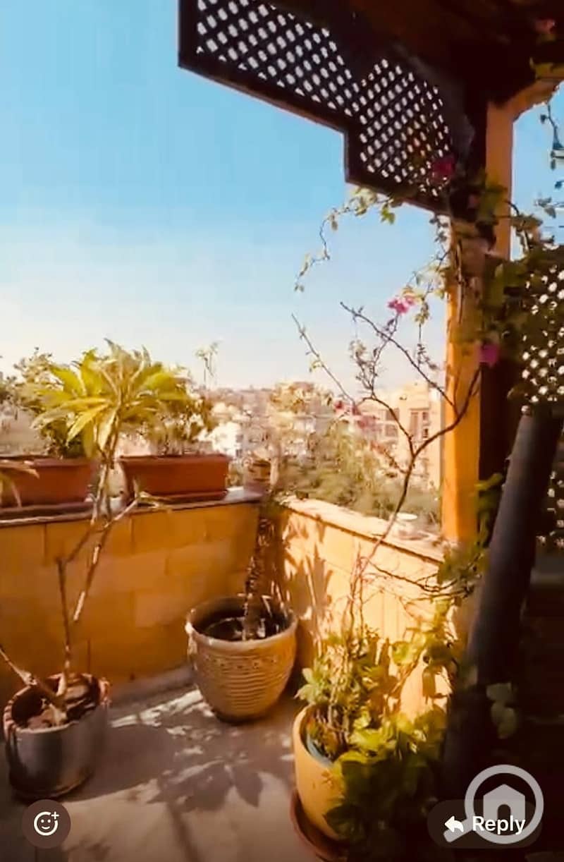 26 b40f0783-3b36-4724-9086-d87517d04227. jpeg