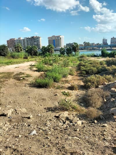 أرض سكنية  للبيع في المنصورة، الدقهلية - قطعة ارض للبيع 3600 متر على النيل مباشرة - المنصورة - طلخا