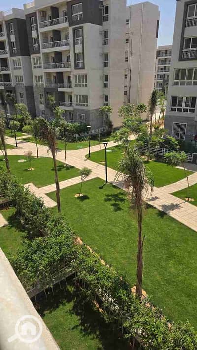 3 Bedroom Flat for Rent in Madinaty, Cairo - 1000718289. jpg