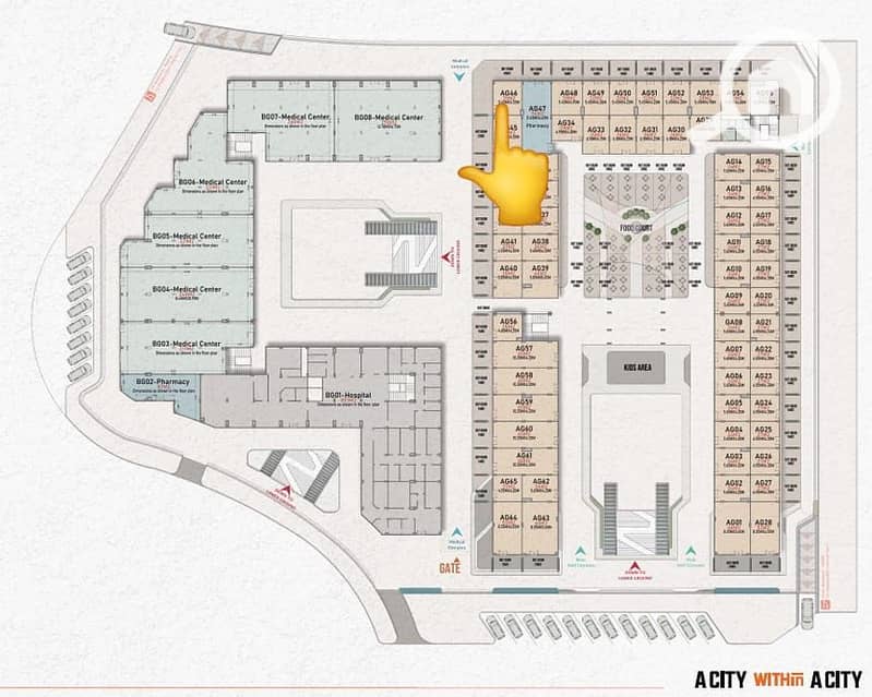 3 WhatsApp Image 2025-09-24 at 4.12. 53 PM. jpeg